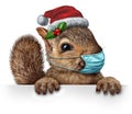 Healthy Holiday Squirrel Royalty Free Stock Photo