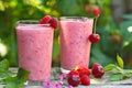 Healthy homemade berry smoothies in glasses Royalty Free Stock Photo