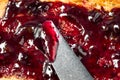 Healthy Homemade Blueberry Jam and Toast