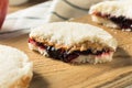 Healthy Homemade Crustless Peanut Butter Jelly Sandwich Royalty Free Stock Photo