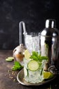 Healthy homemade lemonade with cucumber, basil, lemon, honey and sparkling water, Royalty Free Stock Photo