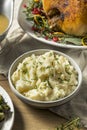 Healthy Homemade Mashed Potatoes Royalty Free Stock Photo