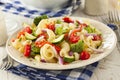 Healthy Homemade Pasta Salad Royalty Free Stock Photo