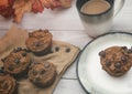 Healthy homemade pumpkin chocolate chip muffins with fall spices Royalty Free Stock Photo