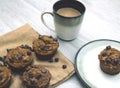 Healthy homemade pumpkin chocolate chip muffins with fall spices