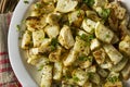 Healthy Homemade Roasted Kohlrabi