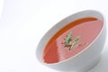 Healthy homemade tomato soup and vegetables