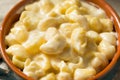 Healthy Homemade White Macaroni and Cheese