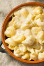 Healthy Homemade White Macaroni and Cheese