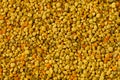 Healthy Honey Bee Pollen grains, background Royalty Free Stock Photo