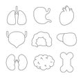 Healthy anatomy internal organs. Coloring Page