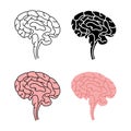 Healthy human brain side view Royalty Free Stock Photo