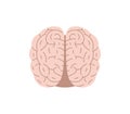 Healthy human brain, thinking organ vector illustration isolated on white background Royalty Free Stock Photo