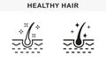 Healthy Human Follicle Shine Line and Silhouette Black Icon Set. Glossy Hair Follicle Pictogram. Hair Shiny with Keratin