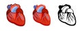 Healthy human heart. Whole. Set. Color image and monochrome icon. A series of illustrations on the internal organs. Isolated vecto Royalty Free Stock Photo