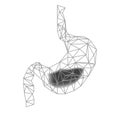 Healthy Human Stomach with acid digestive. Low poly wireframe style.Treatment of Gastric gut line. Future technology in