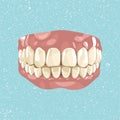 Healthy human teeth