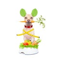 Healthy hungry dog Royalty Free Stock Photo