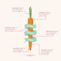 Healthy Infograph
