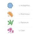 Healthy intestinal bacteria icons Royalty Free Stock Photo