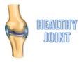 HEALTHY JOINT Royalty Free Stock Photo
