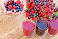 Healthy juice made with fresh, organic wild berries Royalty Free Stock Photo