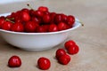 Healthy, juicy, fresh, organic cherries in fruit bowl close up. Cherries in background. Royalty Free Stock Photo