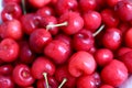 Healthy, juicy, fresh, organic cherries in fruit bowl close up. Cherries in background. Royalty Free Stock Photo