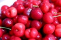 Healthy, juicy, fresh, organic cherries in fruit bowl close up. Cherries in background. Royalty Free Stock Photo