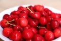 Healthy, juicy, fresh, organic cherries in fruit bowl close up. Cherries in background. Royalty Free Stock Photo