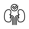 healthy kidneys line icon vector illustration