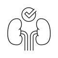 healthy kidneys line icon vector illustration