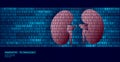 Healthy kidneys urology internal organs. Binary code data flow. Doctor online innovative technology vector illustration