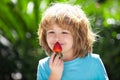 Healthy kids food. Cute little boy eating a strawberry on green summer background. Close up kids happy face. Royalty Free Stock Photo