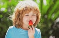 Healthy kids food. Cute little boy eating a strawberry on green summer background. Close up kids happy face. Royalty Free Stock Photo