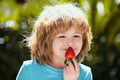 Healthy kids food. Cute little boy eating a strawberry on green summer background. Close up kids happy face. Royalty Free Stock Photo