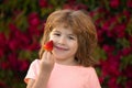 Healthy kids food Kid funny portrait. Cute little boy eating a strawberry. Royalty Free Stock Photo