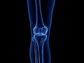 The healthy knee joint