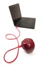 Healthy Laptop