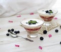 Healthy layered dessert with cream, strawberries and blueberries Royalty Free Stock Photo
