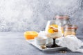 Healthy layered dessert trifle Royalty Free Stock Photo