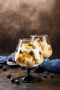 Healthy layered dessert trifle Royalty Free Stock Photo