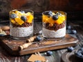 Healthy layered dessert white chia seeds pudding, chocolate granola, mango, blueberries Royalty Free Stock Photo