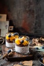 Healthy layered dessert white chia seeds pudding, chocolate granola, mango, blueberries Royalty Free Stock Photo