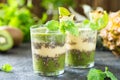 Healthy layered smoothie with kiwi, pineapple, chia Royalty Free Stock Photo