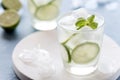 Healthy Lemonade Lime with Fresh Mint and Ice in a Glass on Blue Background Tasty Homemade Detox Water Infused Water Close Up Royalty Free Stock Photo