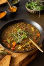 Healthy lentil soup