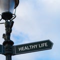 HEALTHY LIFE directional sign on guidepost Royalty Free Stock Photo