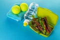 Healthy Life Sport Concept. Sneakers with Tennis Balls, Towel an Royalty Free Stock Photo