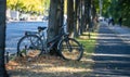 Healthy lifestyle concept. Bike is parked and locked on a tree. Blur people and nature background.